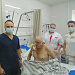 Крайняя мера. Редкую и рискованную операцию на сосудах головного мозга выполнили рентгенохирурги Сургутской травмбольницы